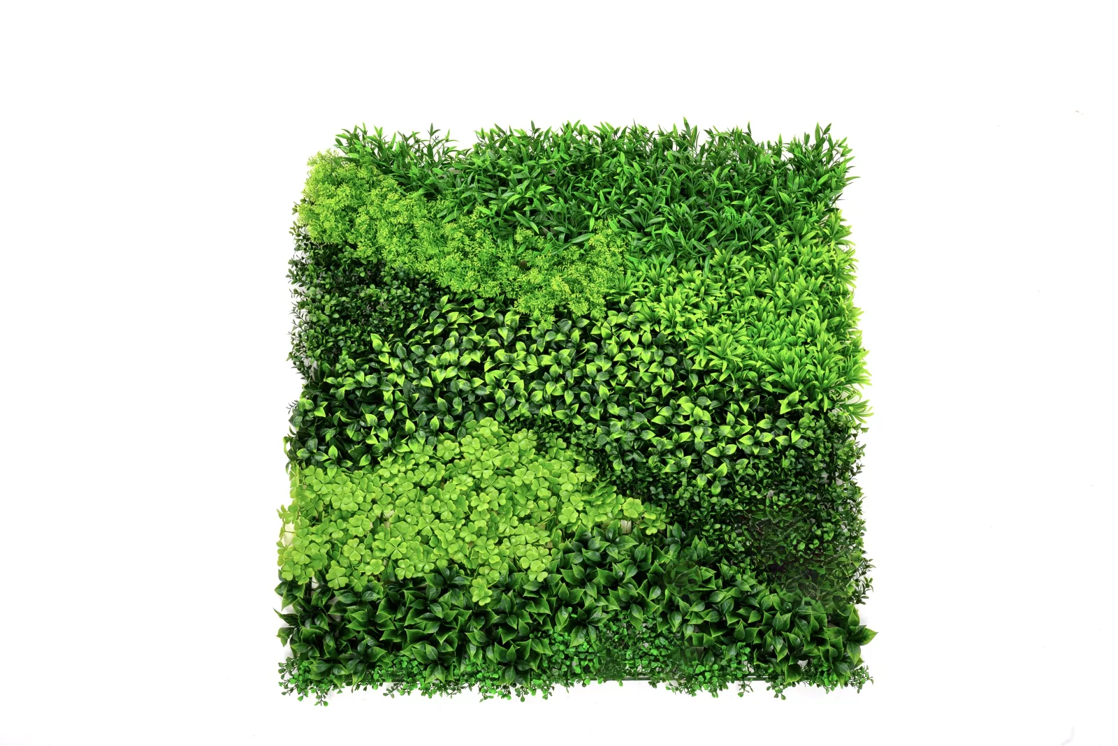 Instagreen in Blend Foliage