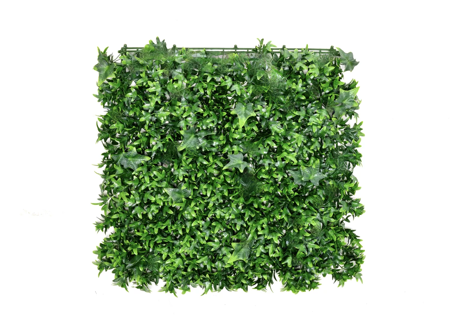 Instagreen in Ivy Foliage