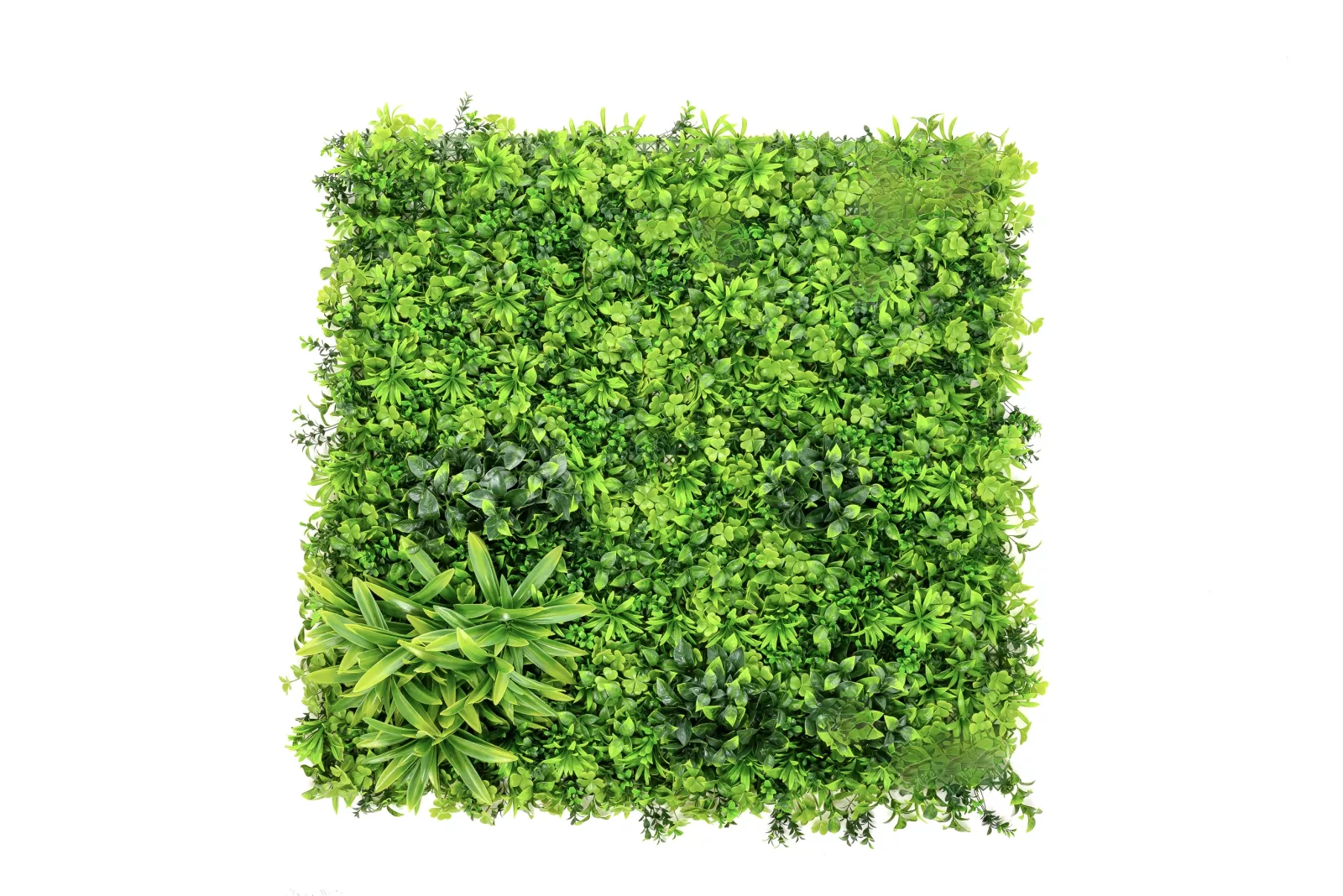 Instagreen in Tropical Foliage