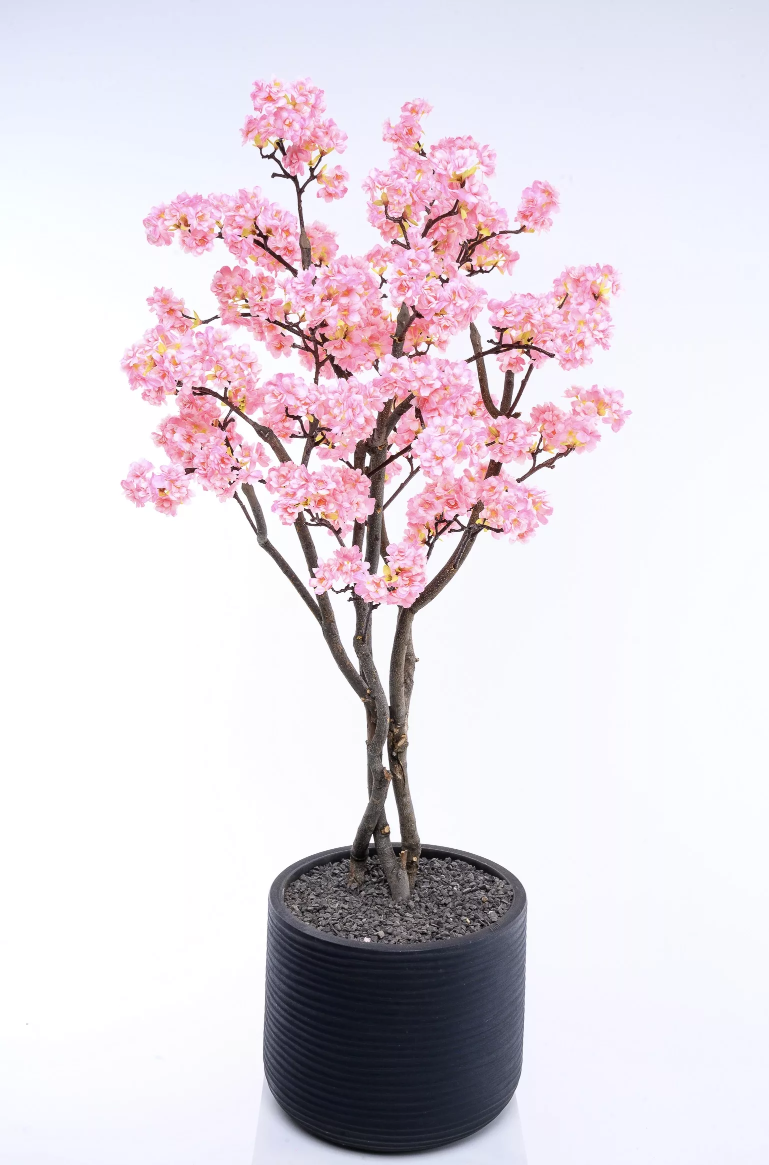 Cherry Blossom Tree – Light Pink