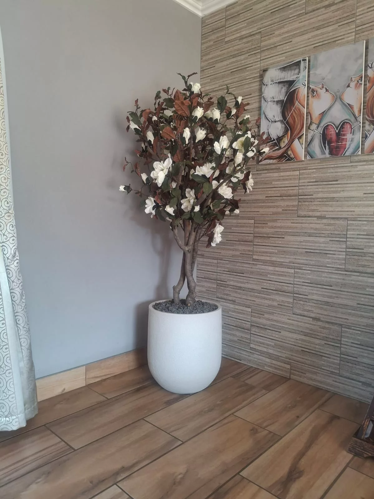 Magnolia Tree