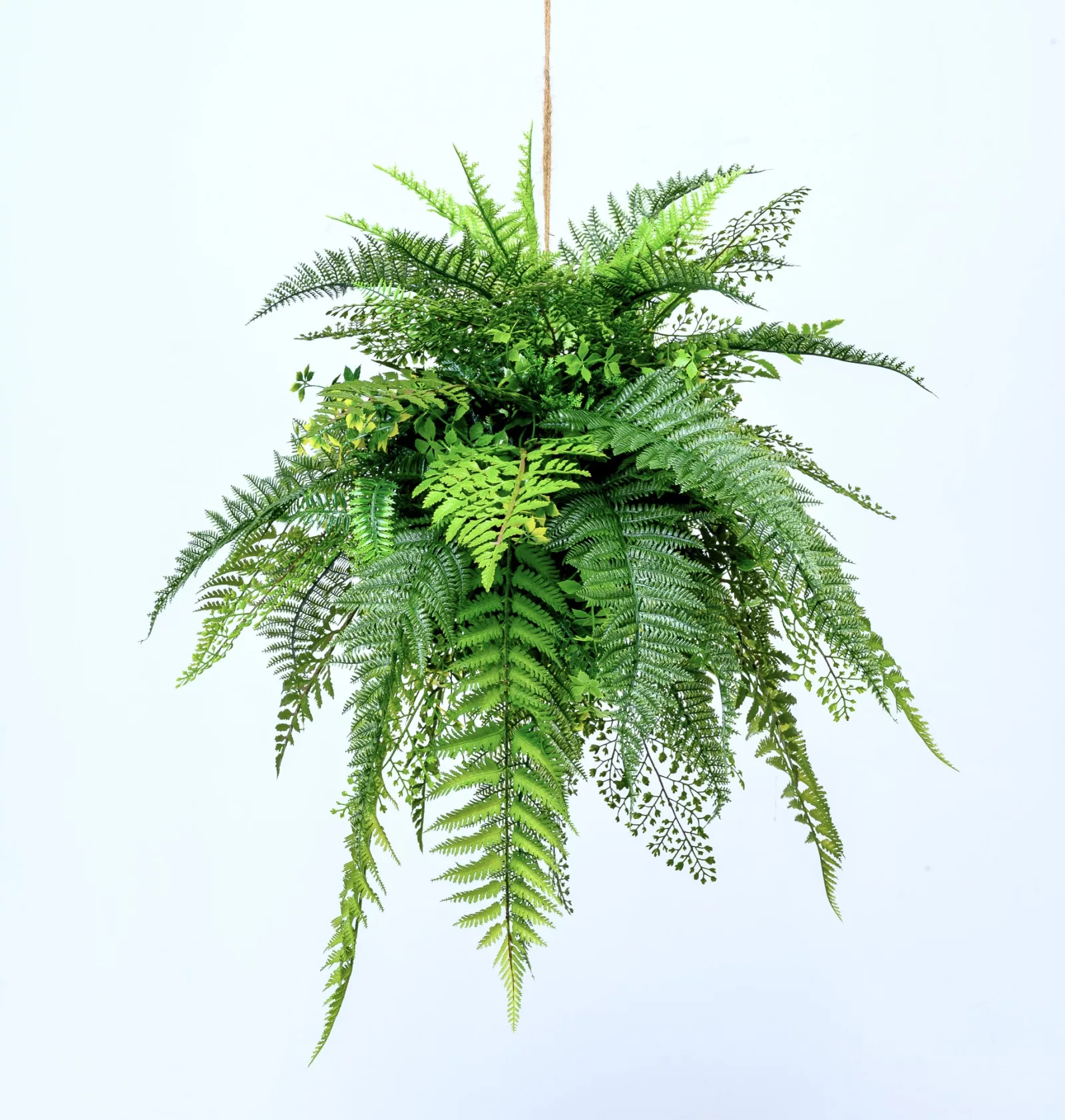 Wall & Hanging Plants Artificial Plants & Trees | Distinctive Spaces