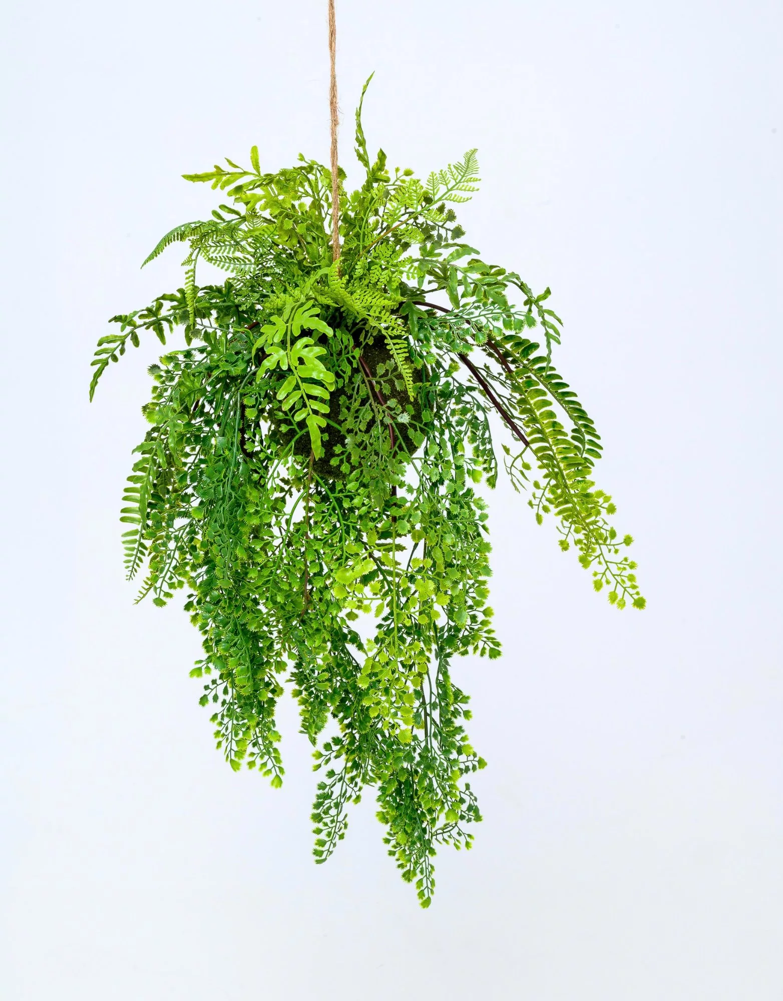 Hanging Maiden Hair Fern Ball Extra Small