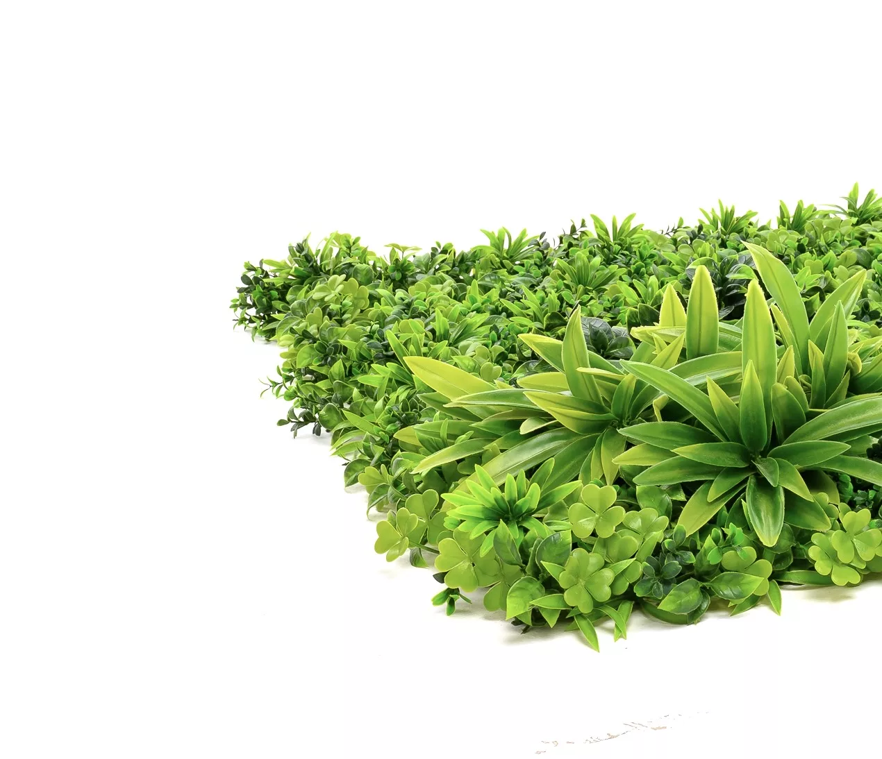Instagreen in Tropical Foliage - Image 2
