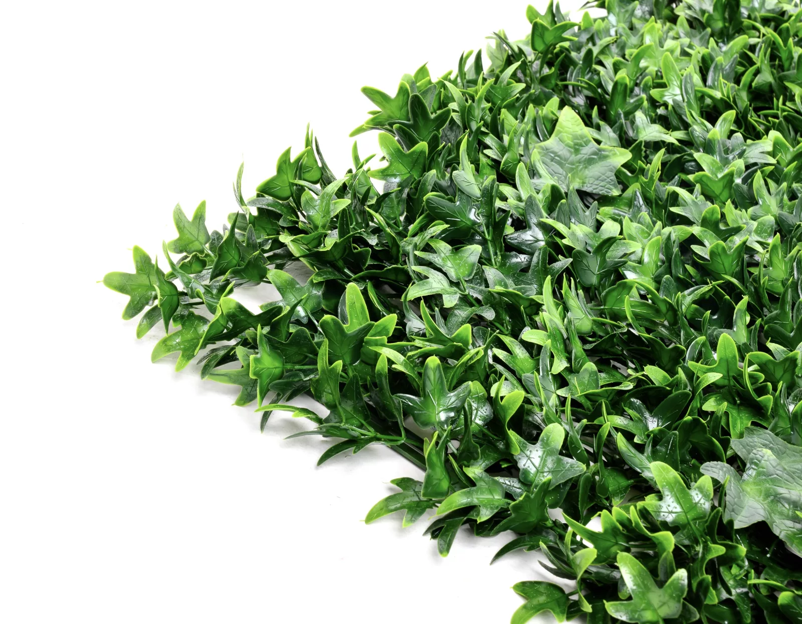 Instagreen in Ivy Foliage - Image 2