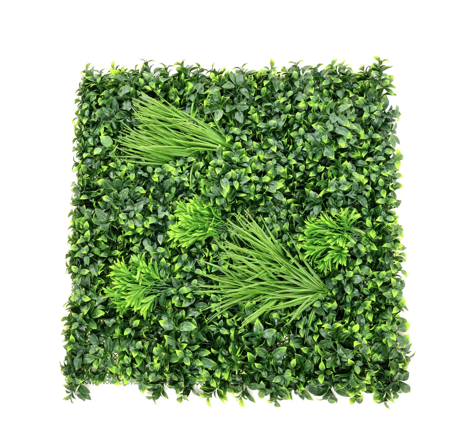 Instagreen in African Forest Foliage