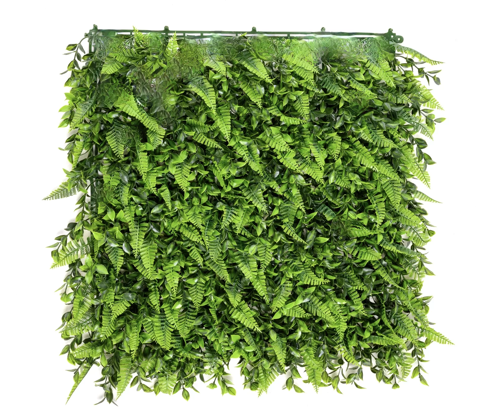 Instagreen in Courtyard Foliage