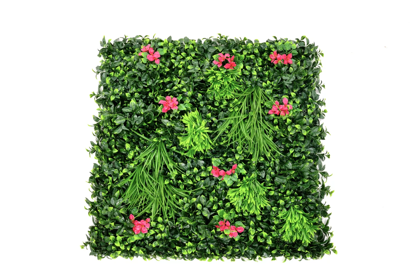 Instagreen in Bougainvillea Foliage